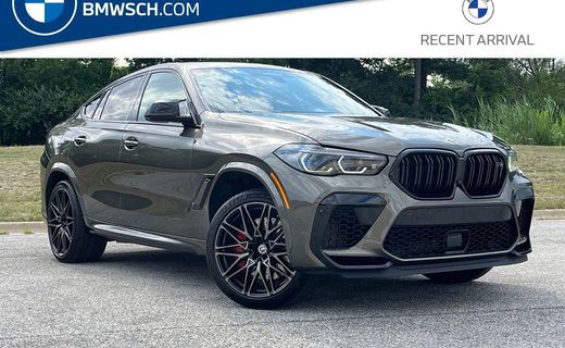 2022 BMW X6