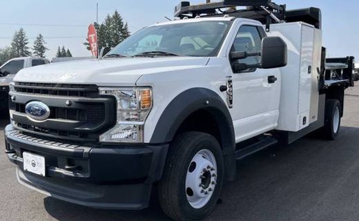 2021 Ford F-550