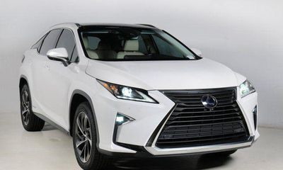 2019 Lexus RX
