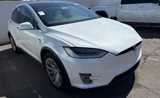2019 Tesla Model X Performance