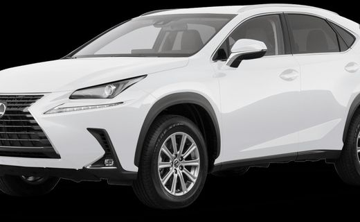 2019 Lexus NX 300 Luxury