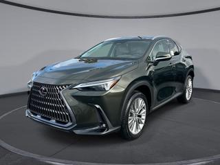 2026 Lexus NX 350 Luxury