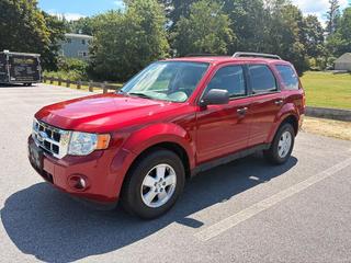 2009 Ford Escape XLT