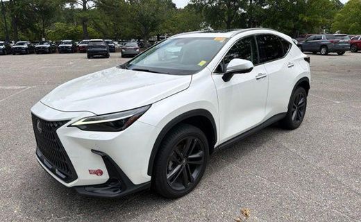 2024 Lexus NX Luxury