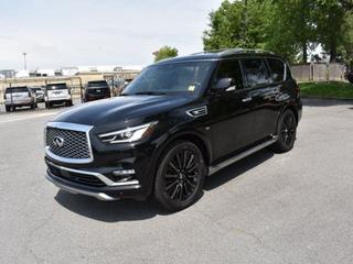 2019 Infiniti QX80 Luxe