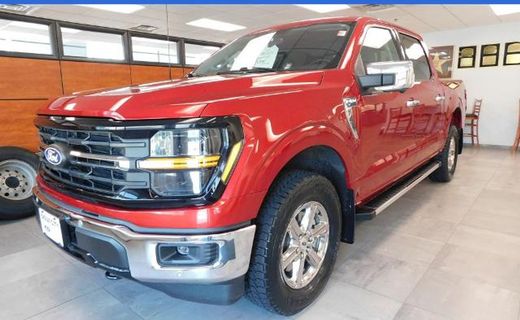 2025 Ford F-150 XLT