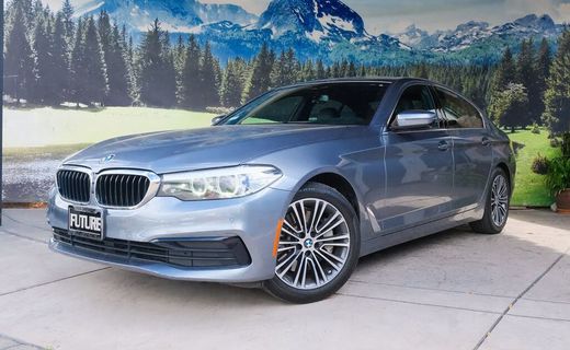 2019 BMW 530i