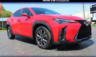 2019 Lexus UX 200 Base Luxury