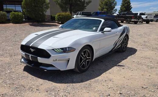 2019 Ford Mustang