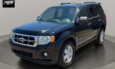 2010 Ford Escape XLT