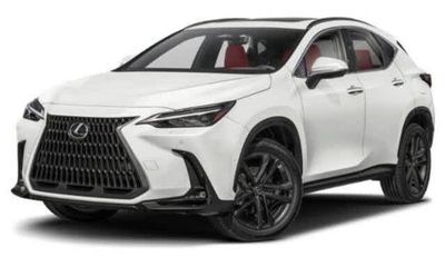 2025 Lexus NX Luxury
