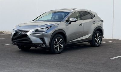 2019 Lexus NX 300 Luxury
