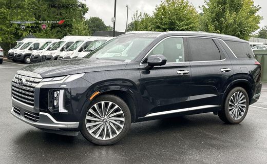 2024 Hyundai Palisade Calligraphy Night