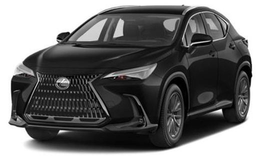 2025 Lexus NX Luxury