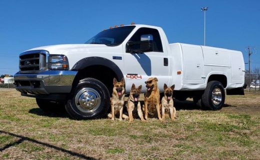 2000 Ford F-350