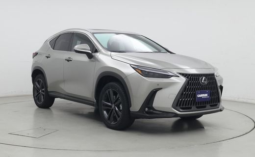 2024 Lexus NX Luxury