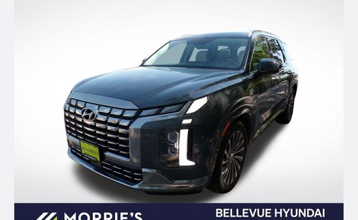 2024 Hyundai Palisade Calligraphy Night