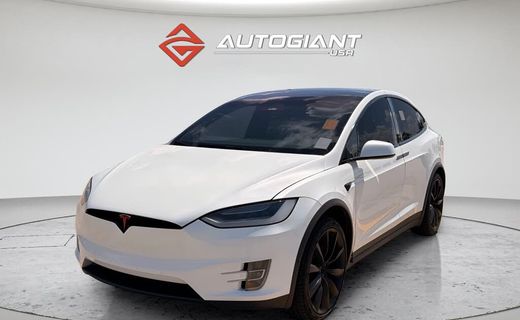 2019 Tesla Model X Performance