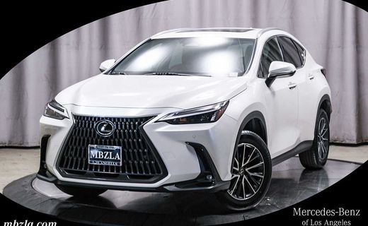 2025 Lexus NX