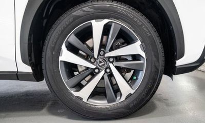 2019 Lexus NX 300 Luxury