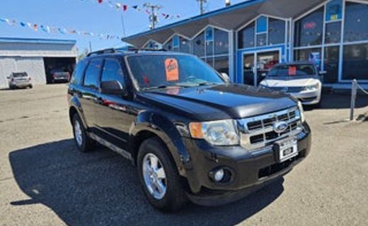 2010 Ford Escape XLT