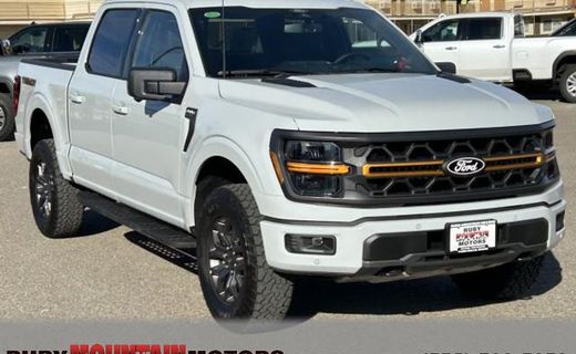 2024 Ford F-150 Tremor