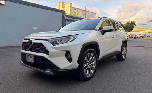 2019 Toyota RAV4 Limited