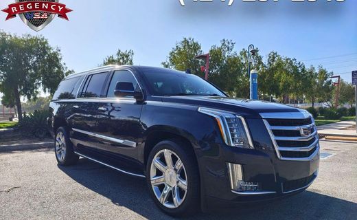 2019 Cadillac Escalade ESV Luxury
