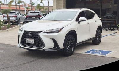 2024 Lexus NX 450H Luxury