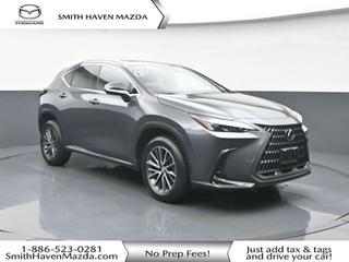 2022 Lexus NX 350H Base
