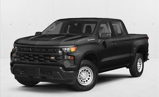 2023 Chevrolet Silverado Trail Boss Custom