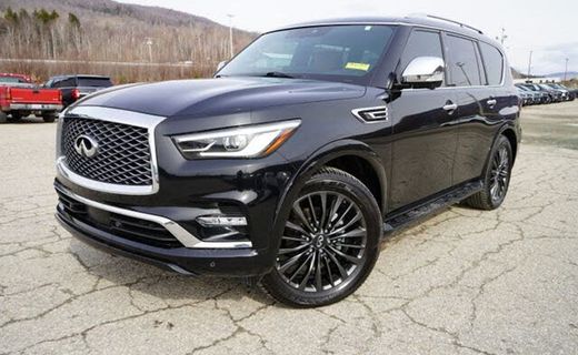 2023 Infiniti QX80 Premium