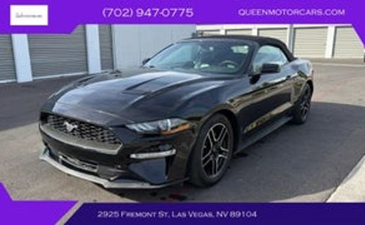 2019 Ford Mustang