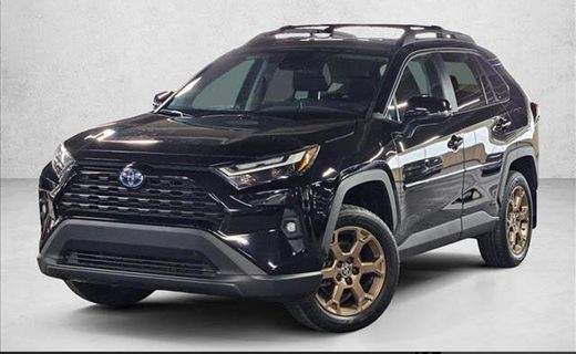 2024 Toyota RAV4 Others