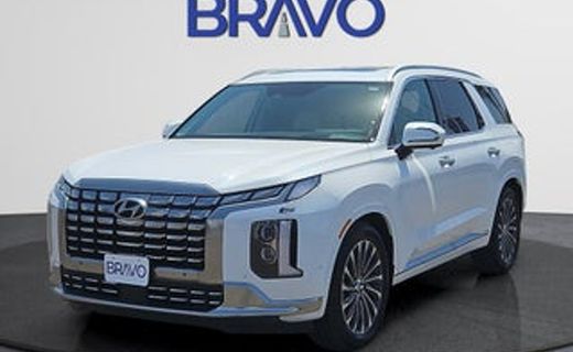 2024 Hyundai Palisade Calligraphy Night