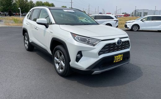 2019 Toyota RAV4 LTD