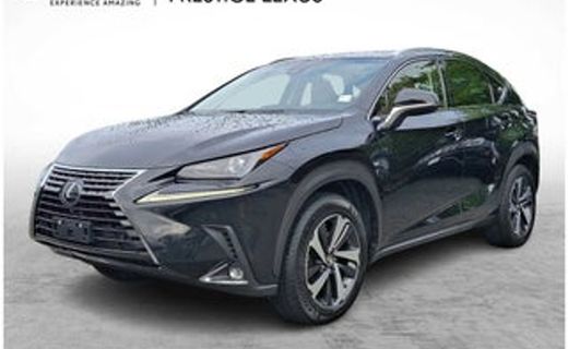 2019 Lexus NX 300 Luxury