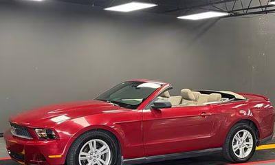 2010 Ford Mustang Base