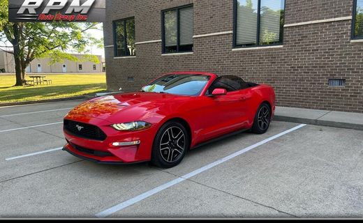 2019 Ford Mustang