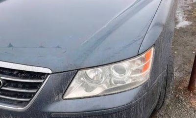 2010 Hyundai Sonata GL