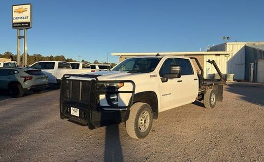 2021 Chevrolet Silverado Work Truck