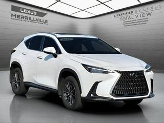 2025 Lexus NX 350 Luxury