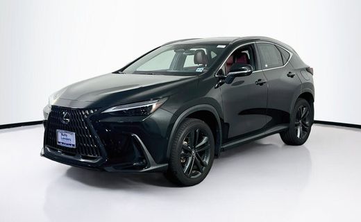2024 Lexus NX Luxury