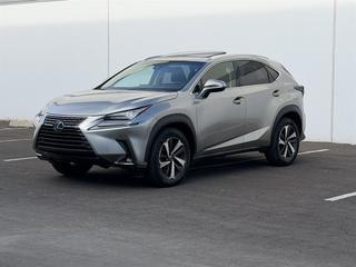 2019 Lexus NX 300 Luxury
