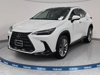 2026 Lexus NX 350 Luxury