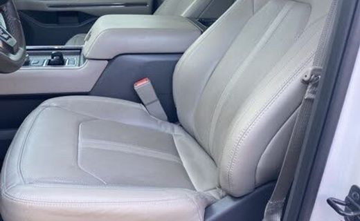 2019 Ford Expedition MAX Limited