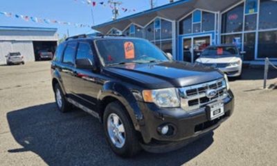 2010 Ford Escape XLT
