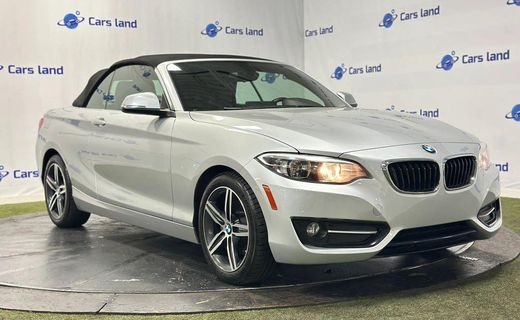 2017 BMW 230I