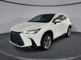2026 Lexus NX 350 Luxury