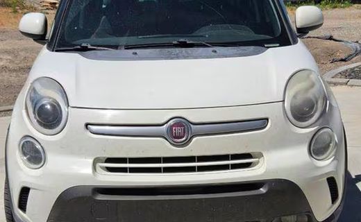 2014 Fiat 500L Trekking